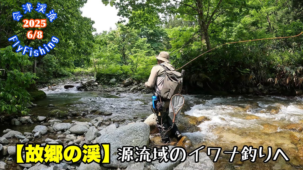 【会津渓流FlyFishing】故郷の渓（源流域のイワナ釣りへ）尺イワナも出た！
