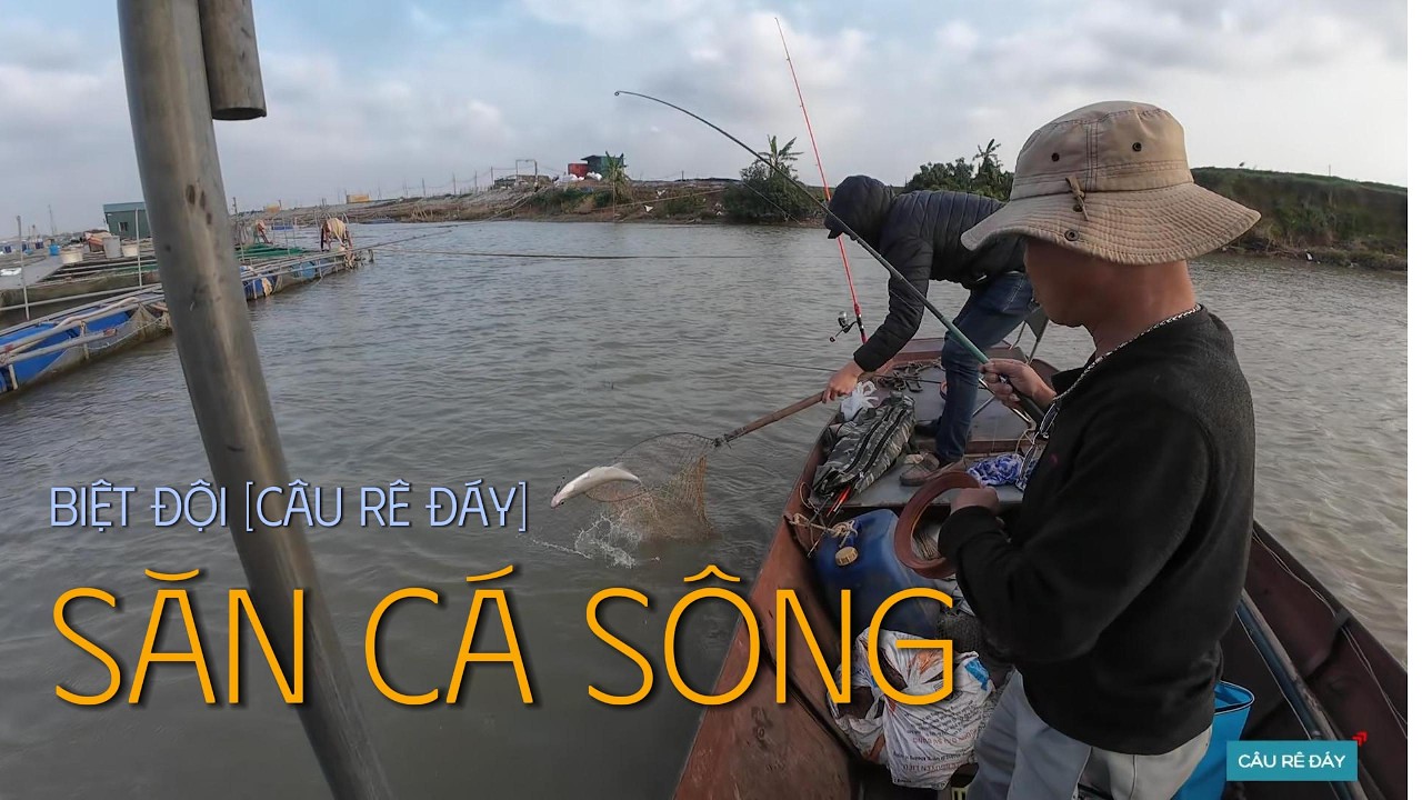 Phần 2: Săn cá ngạnh sông Đuống/ Đụng Hugo Trắm Trắng!