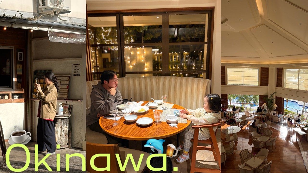 41개월 아기랑 오키나와 여행 | 남바완 맛집 에이분소바🍜 부세나테라스(12월에 여는 수영장), 파인애플파크🍍 스누피 서퍼샵, 쿄다휴게소, 츄라우미 수족관🐬