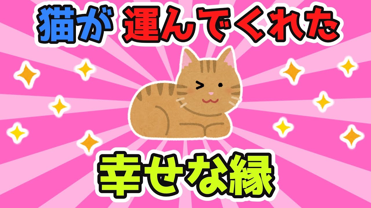 迷いネコを拾って飼っていたが配達員のお兄さんが号泣しながら猫を抱きしめたんだ。そしてお兄さんとも仲良くなって...猫が縁を運んでくれたんだな【2ch面白スレ/ほのぼのスレ】【ゆっくり解説】