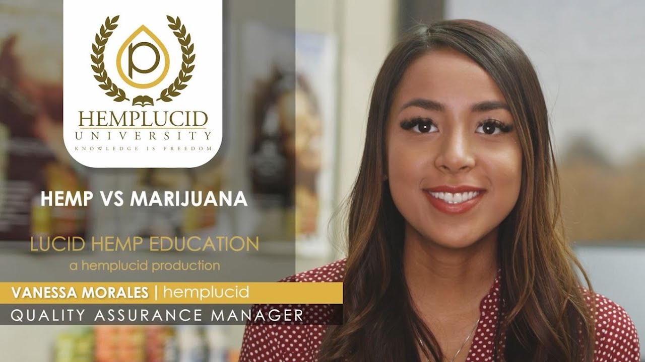 What is the difference between Hemp and Marijuana or Hemp vs Marijuana