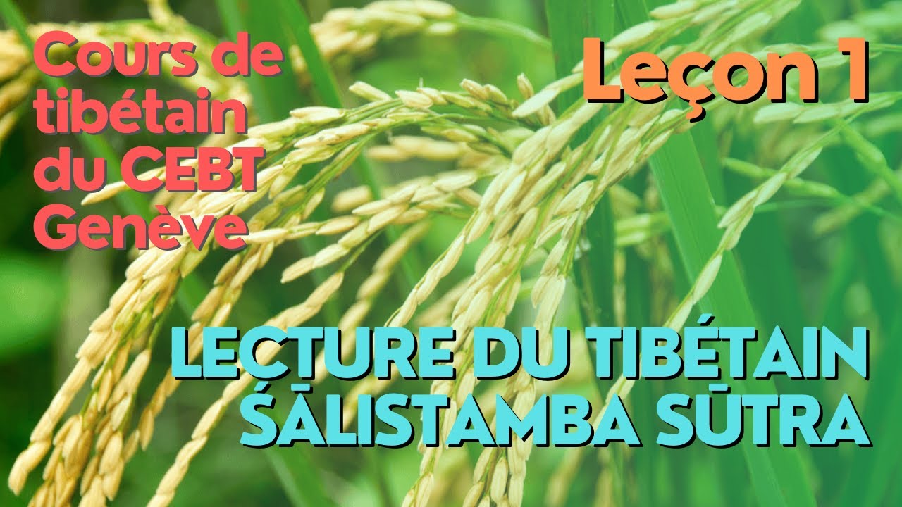 Cours de tibétain   lecture 