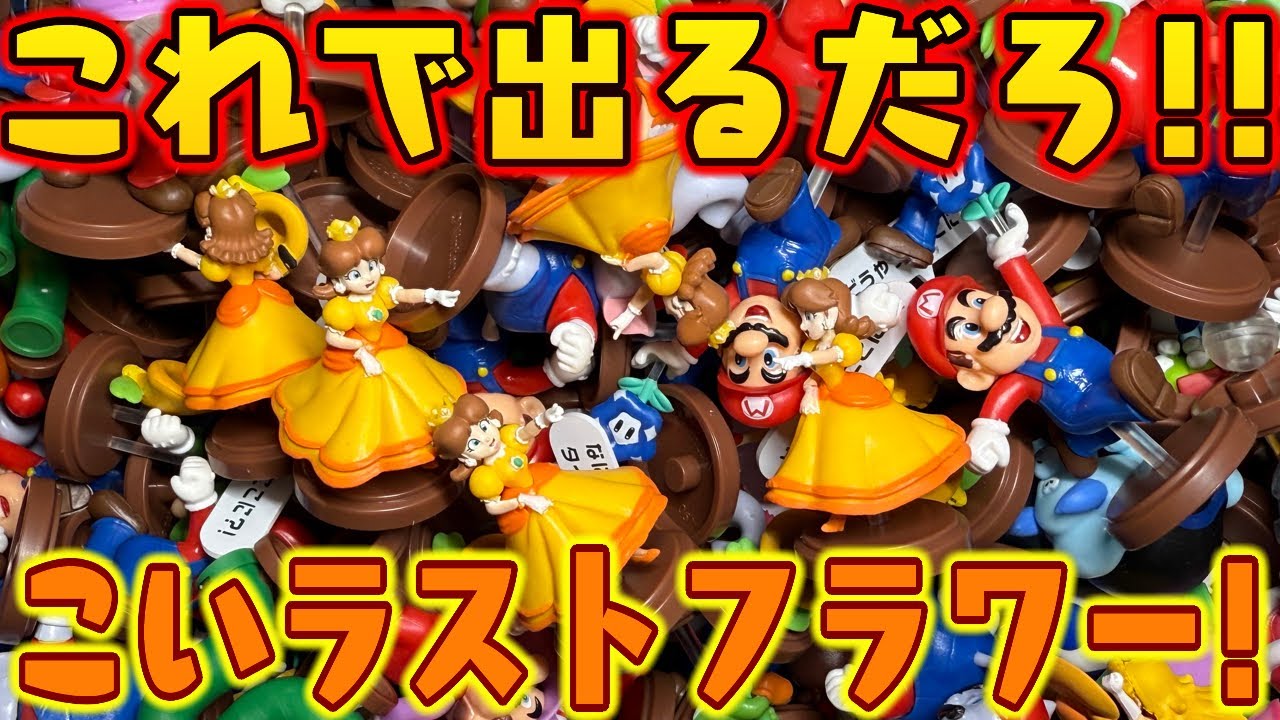もういいだろ！出てくれフラワー！！チョコエッグ スーパーマリオブラザーズ ワンダー 全16種 シークレットあり 開封【食玩レビュー】パート８５