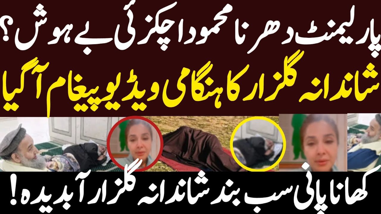 پارلیمنٹ دھرنا شاندانہ گلزار کا ہنگامی ویڈیو پیغام کھانا پانی بند حالات خراب ہوگئے
