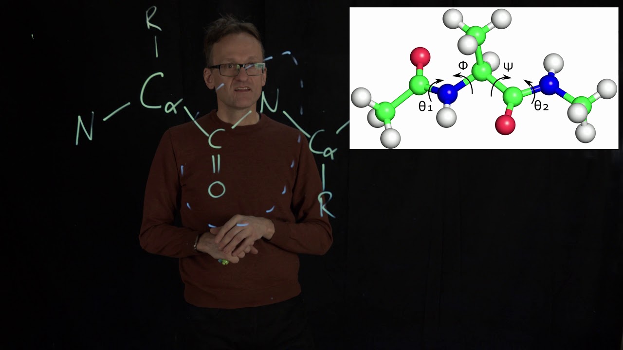 Lecture 02, concept 11: Phi/psi torsions, Ramachandran diagrams