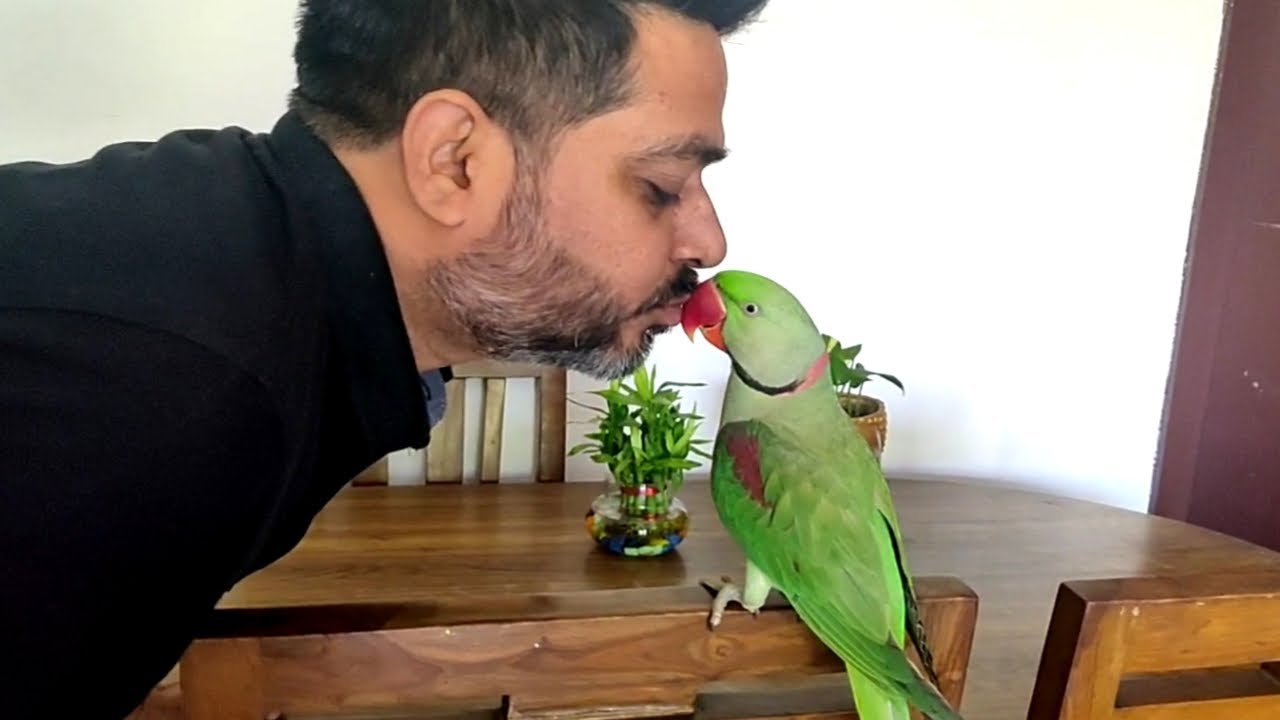 Pablo & Papa ki Morning Walk Mastii aur Parrot ki Naughty talking