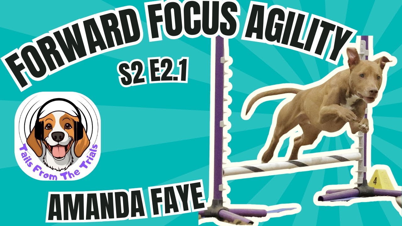 Forward Focus Agility Part 1 | Meet Amanda Faye and her Trio! | Tails from the Trails