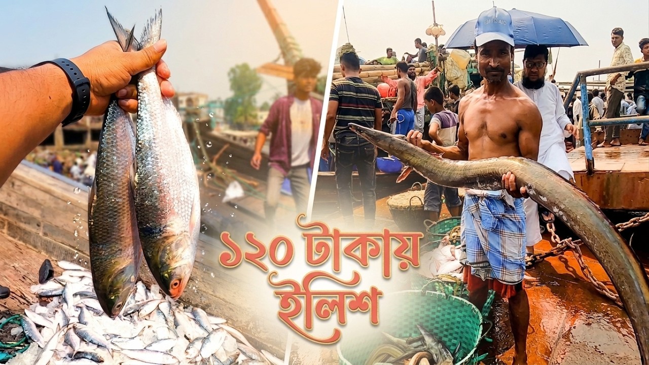 Cox’s Bazar Fishmarket | কক্সবাজারের ফিশারি ঘাটে | Huge Crowded Fish Market at Cox's Bazar