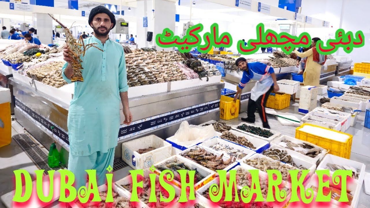 waterfront fish market in dubai #fish #fishingvideo #lobster #food #fishing #dubai