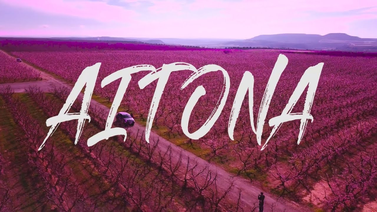 AITONA - impresionantes frutales en flor desde el aire