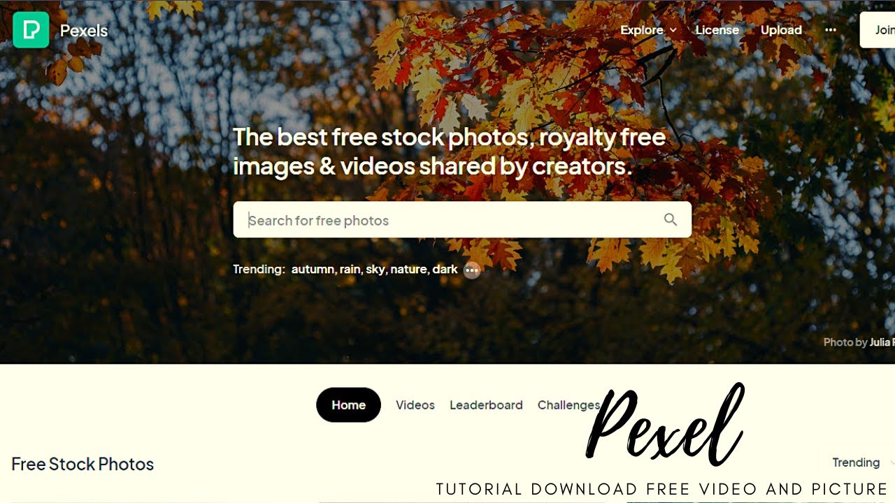Tutorial Download Video Dan Gambar Percuma | Pexels