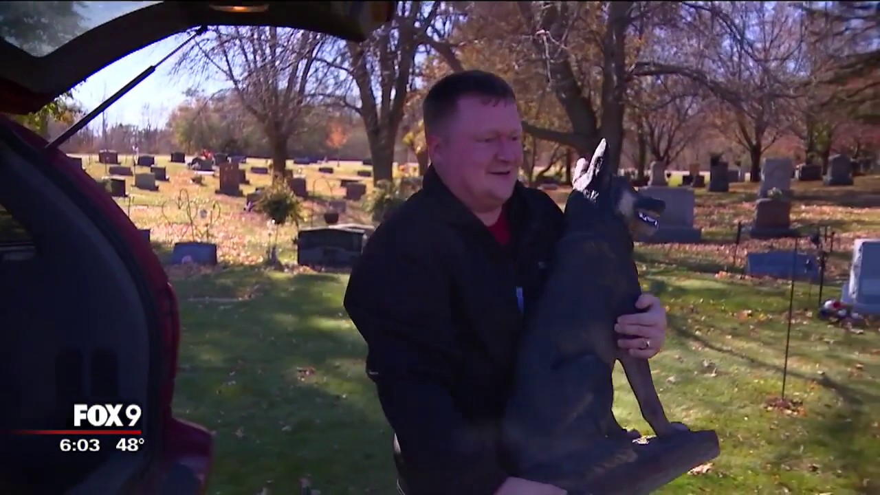 K9 statue returned to grave