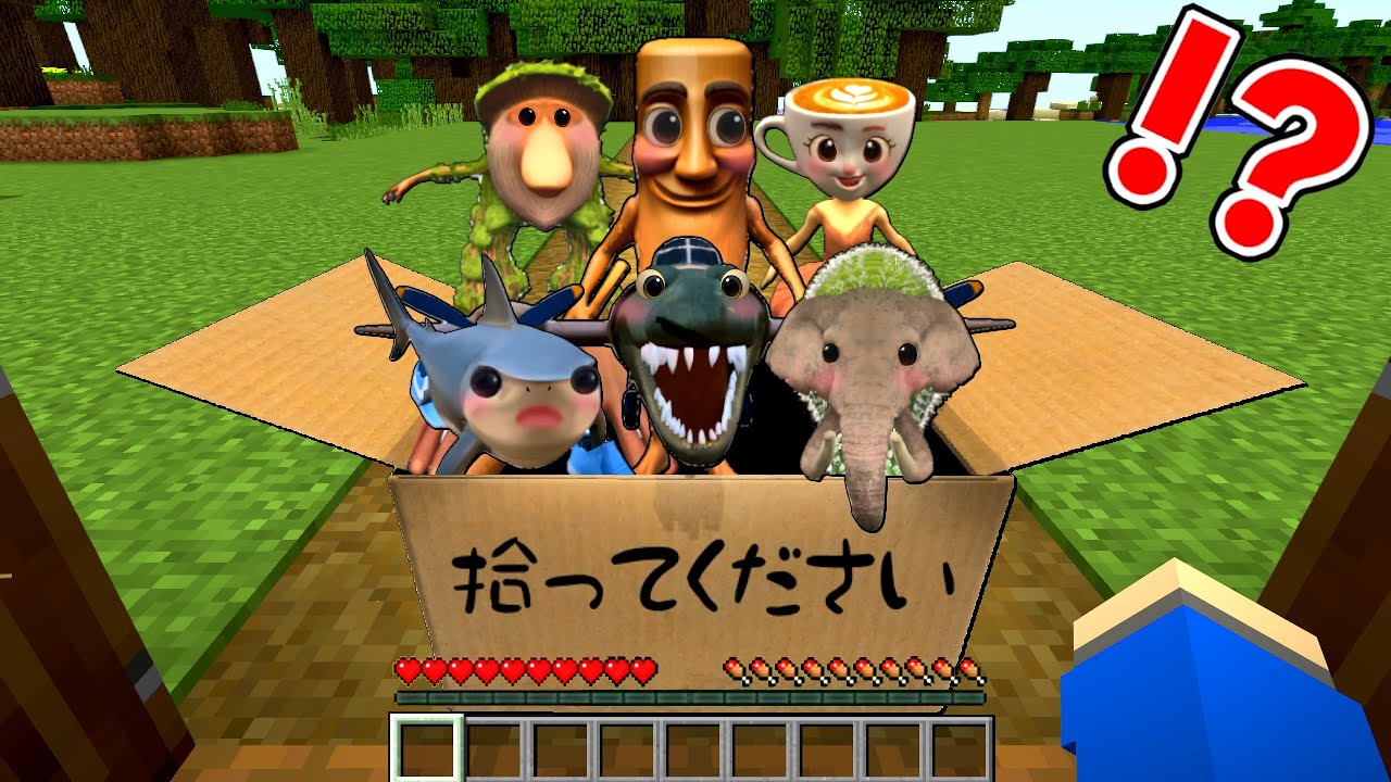 捨てられたイタリアンブレインロットの赤ちゃんを育てるマインクラフト👶🏻🍼【マイクラ】ぽっぴんず