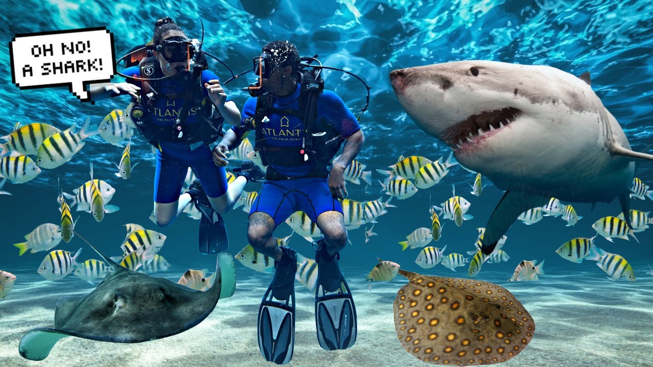 WE ALMOST GOT ATTACKED BY SHARKS!! **CLOSE ENCOUNTER**