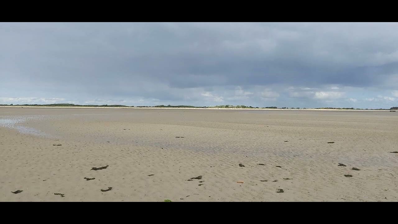 Föhr du Melodie im Wind