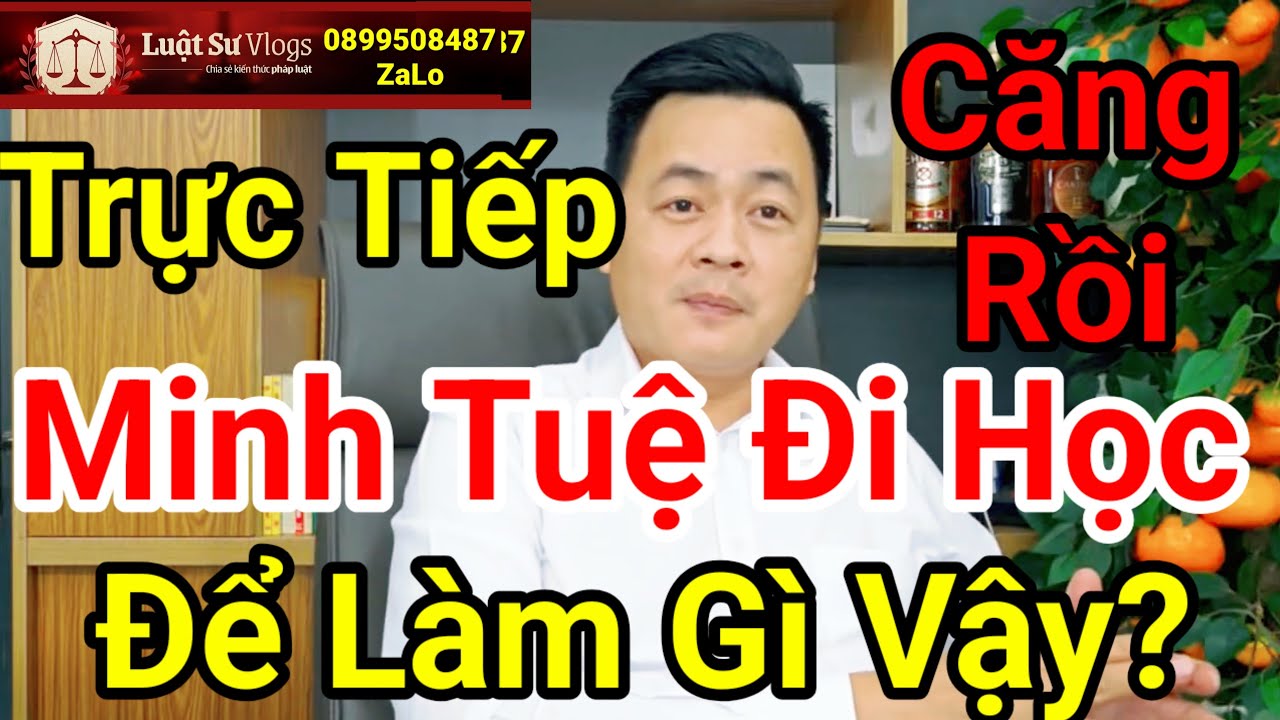 Thích Minh Tuệ Mới Nhất Đi Học Để Làm Gì? Luật Sư Vlogs