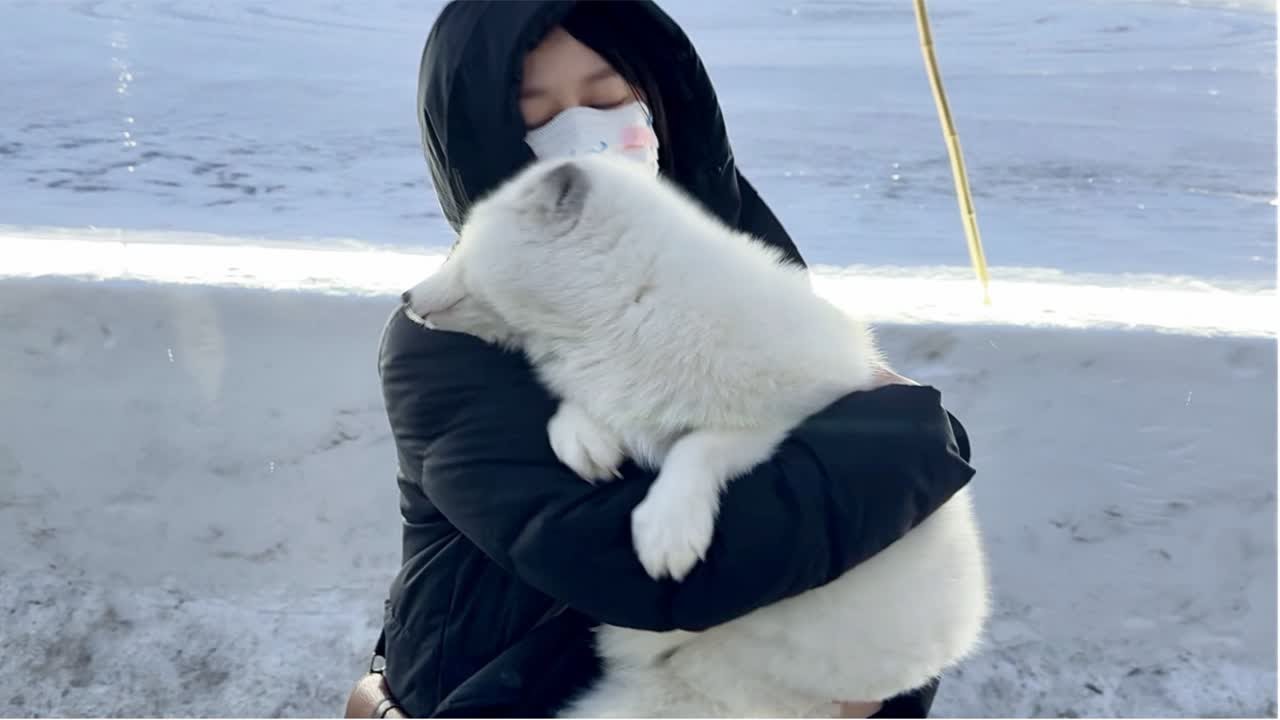 来哈尔滨抱小狐狸啦，带你云逛冰雪大世界