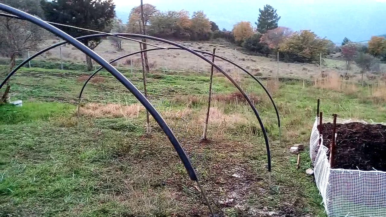 VID 20181201 1627264