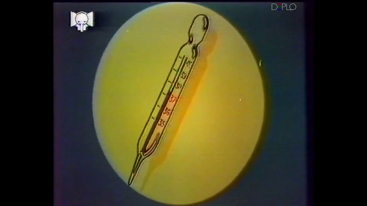Settembre 1979 - Elefante TV - 2 Sequenze spot pubblicitari