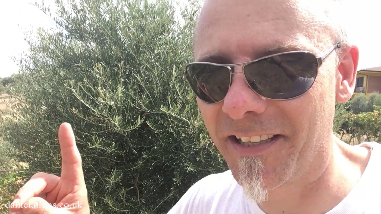 Making Wine In Calabria (Part 1)
