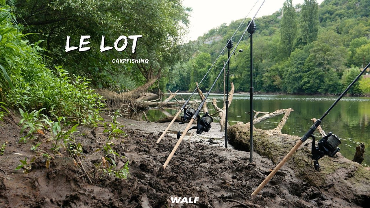 Pêche de la Carpe sur le LOT / Rivière