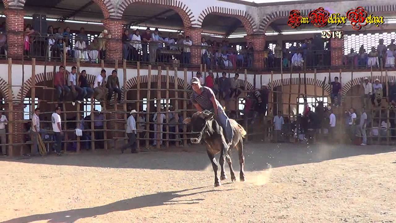 San Melchor Betaza 2014. Primer dia de Jaripero Ranchero