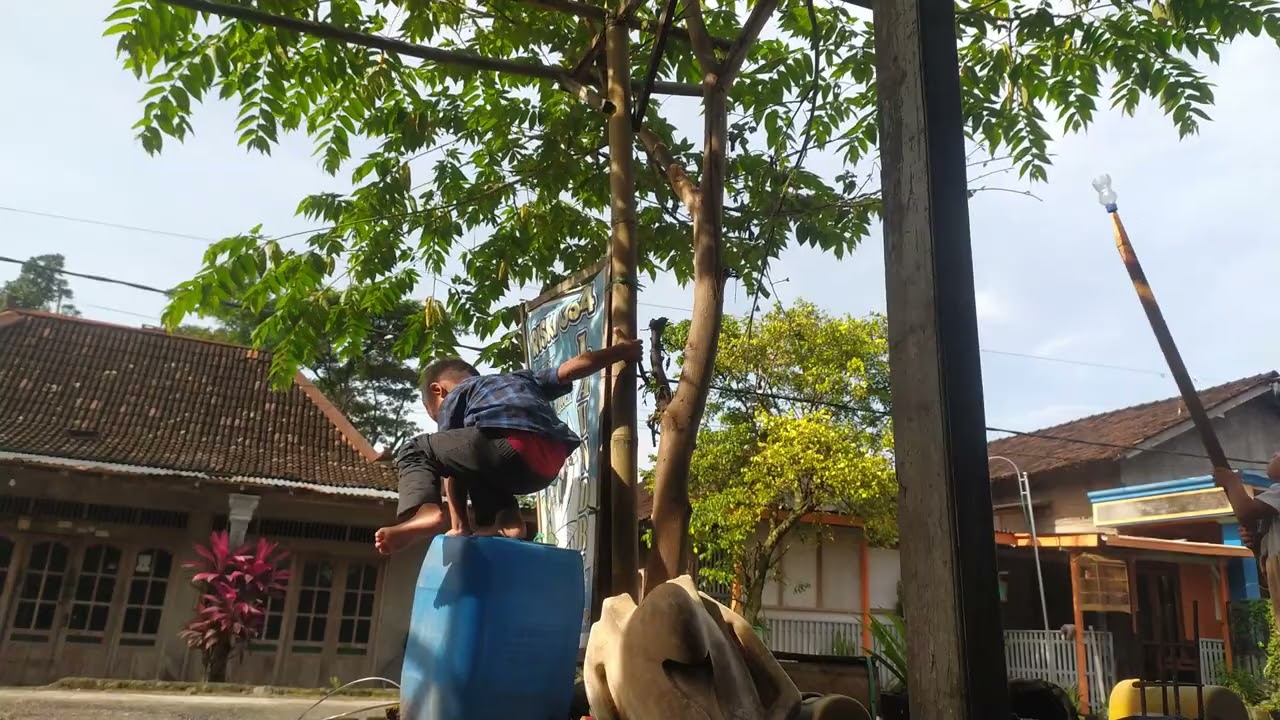 Metik buah talok guys 😆