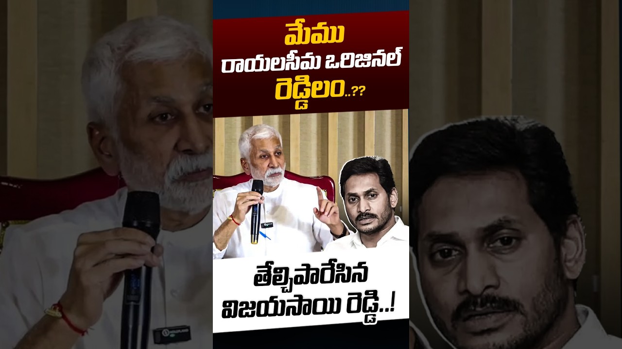 Vijay Sai Reddy Shock To YS Jagan: మేము రాయలసీమ ఒరిజినల్ రెడ్డిలం.? | Reddy Caste | Nethra Tv Telugu