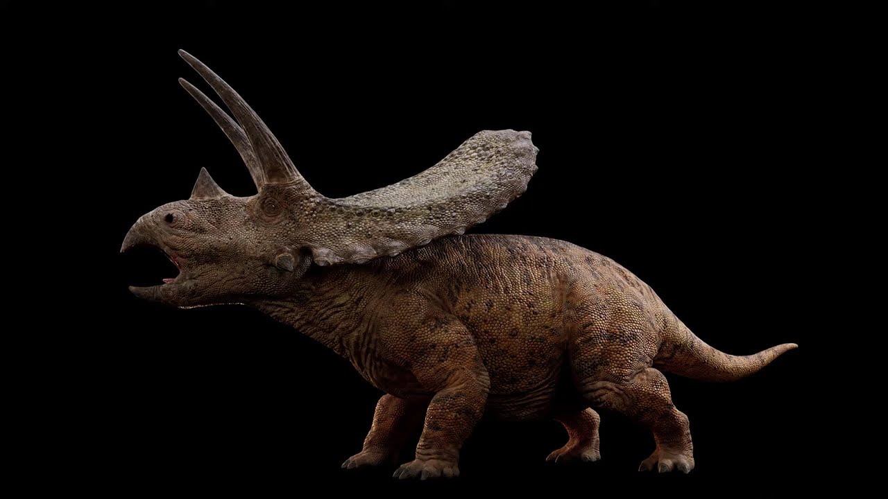 Torosaurus Sound Effects