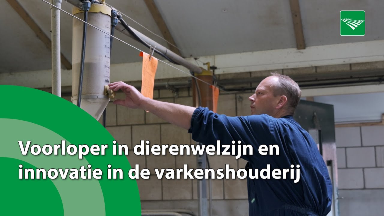 Voorloper in dierenwelzijn en innovatie in de varkenshouderij