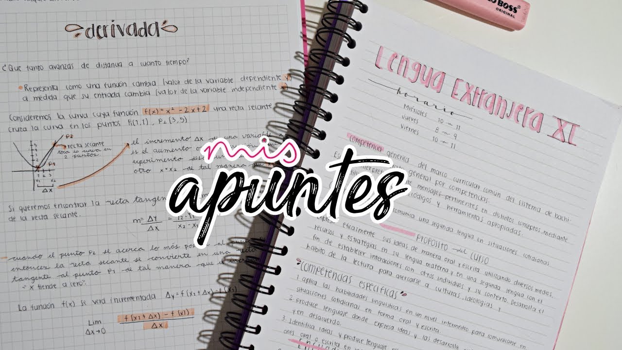 CÓMO HAGO MIS APUNTES