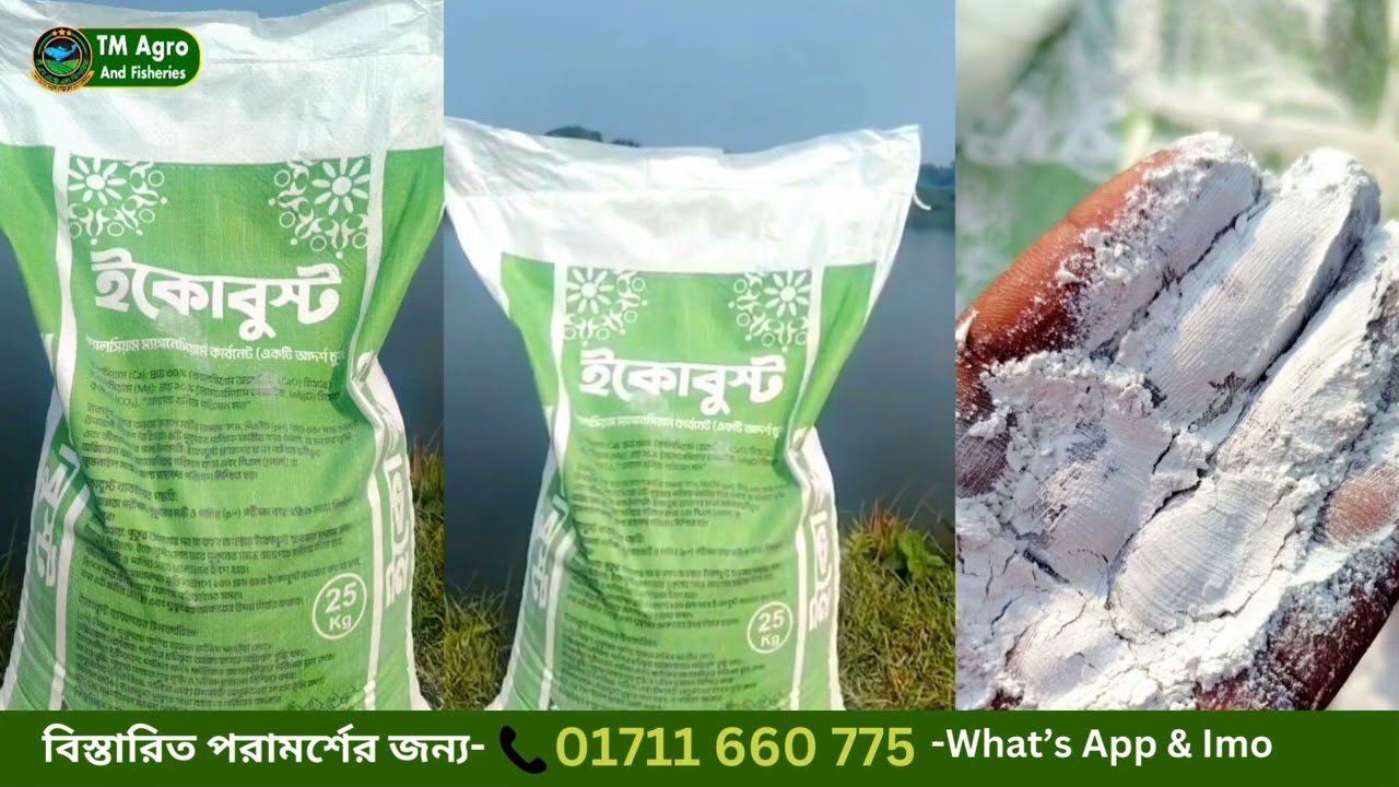 একবার ব্যবহারেই ১০০% সাশ্রয় || Eco Boost//পুকুরে চুনের বিকল্প ব্যবহার ইকোবুস্ট//☎ 01711 660 775