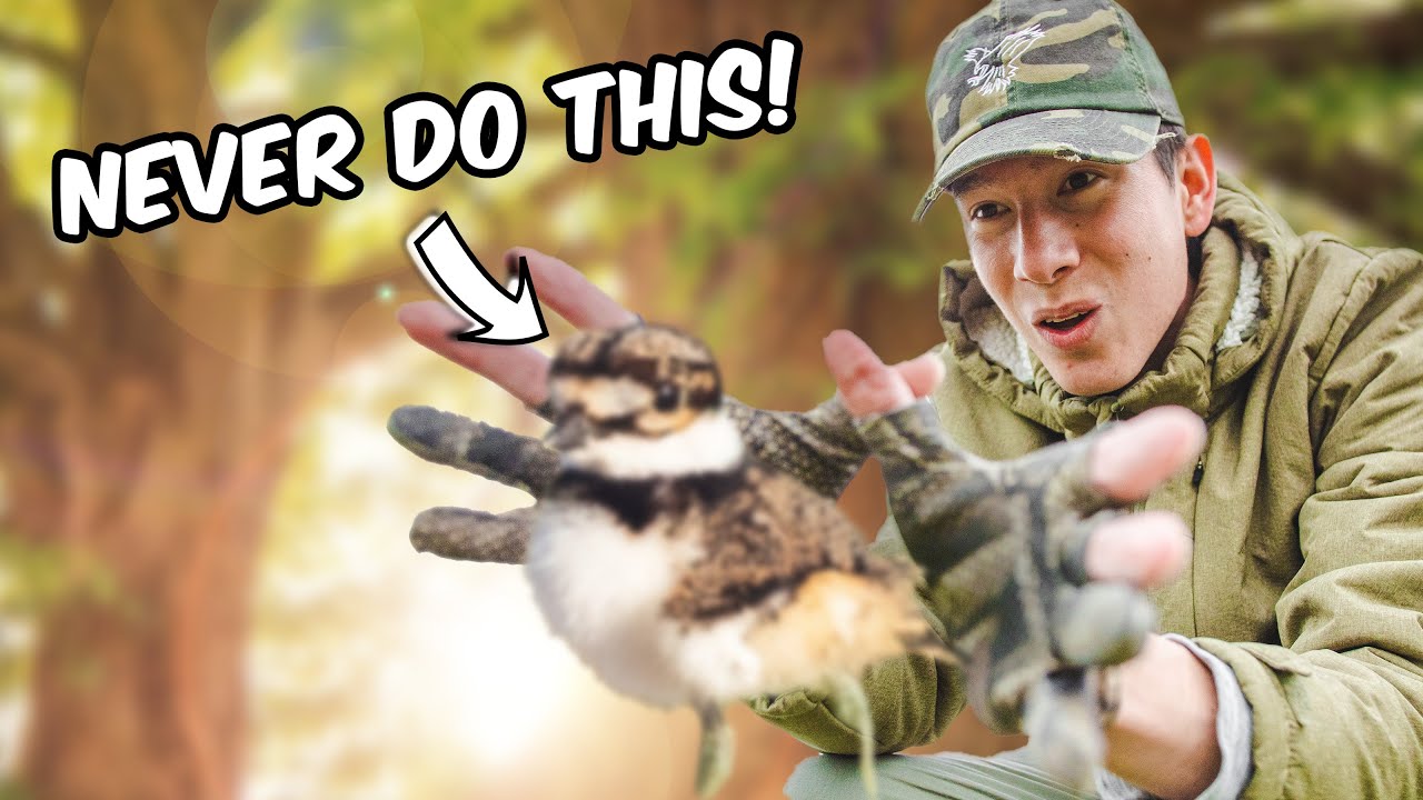 Wildlife Photography - Hypocrites vs. Cancel Culture (ft. Matt Gould)