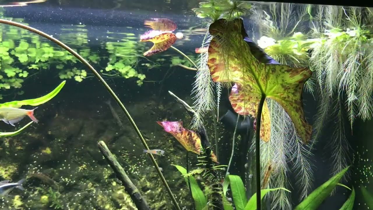 How small changes, have BIG effects on plants!