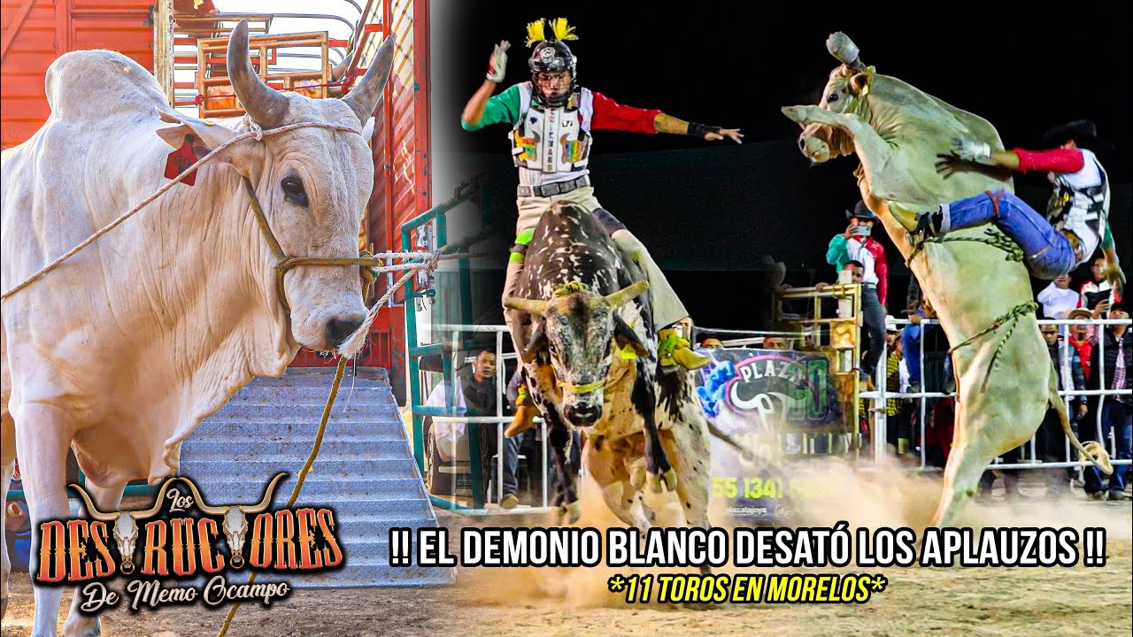 EL D3MON&iexcl;O BLANCO DESAT&Oacute; LOS APLAUSOS| 11 TOROS EN ACCION| Los Destructotes En Atlatlahucan Mor 2025