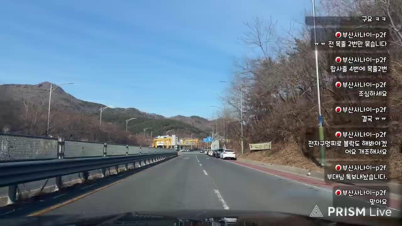 진해 즌갱이 나올까요?