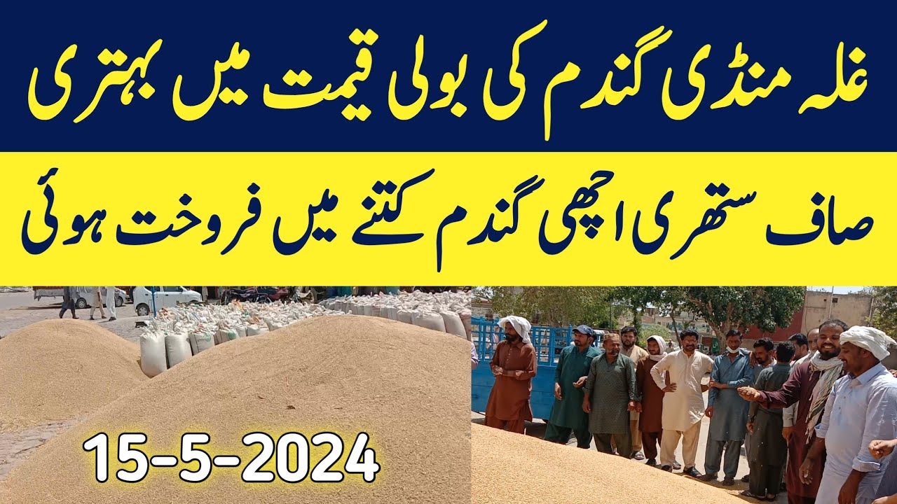 Gulla mundi Gundam ka rate