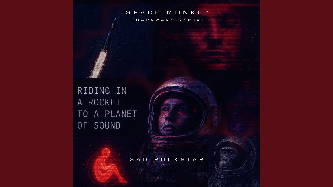 Space Monkey (Darkwave Remix)