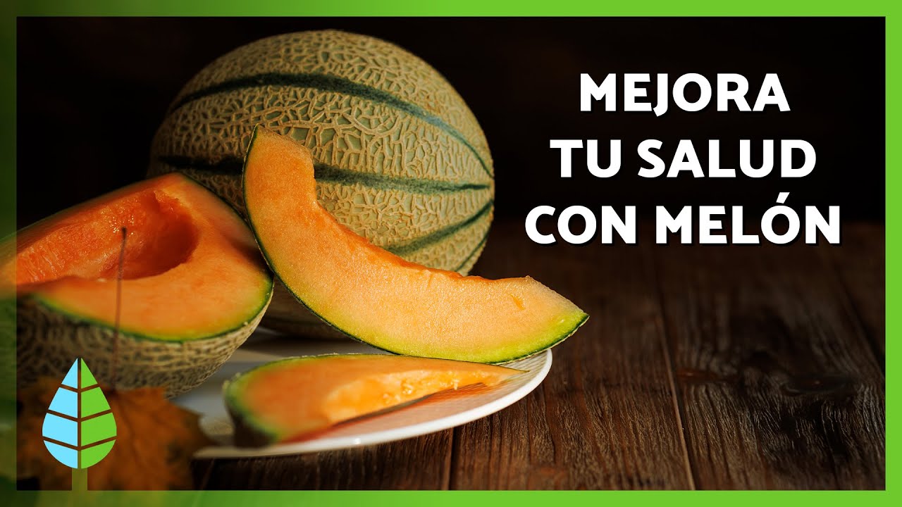 BENEFICIOS del MEL&Oacute;N para la salud 🍈✅ | Propiedades, c&oacute;mo comerlo y contraindicaciones
