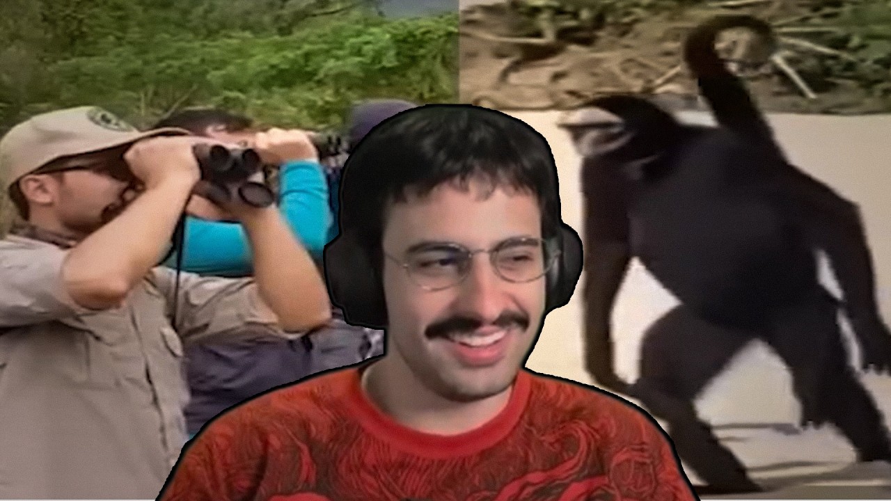 passarin brasileiro que come macaco
