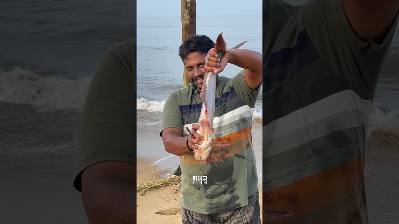 ഡാമുകൾ തുറന്നപ്പോൾ കടലിൽ നിന്നും കിട്ടുന്നത് ഇതൊക്കെയാണ് #vlogettan
