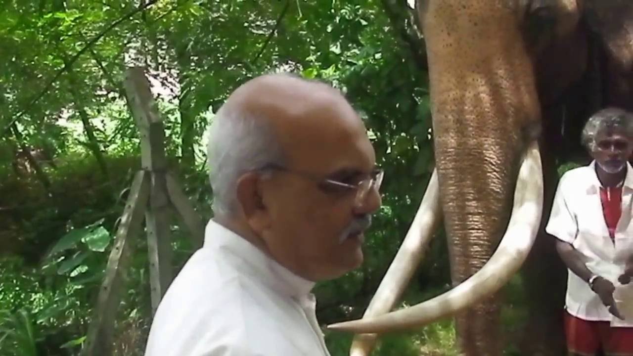 නැදුන්ගමුවේ රාඡා හස්තියා පිලිබඳව හර්ශ ධර්මවිජය වෙදමහතා පැවසූ අලුත්ම තොරතුරු