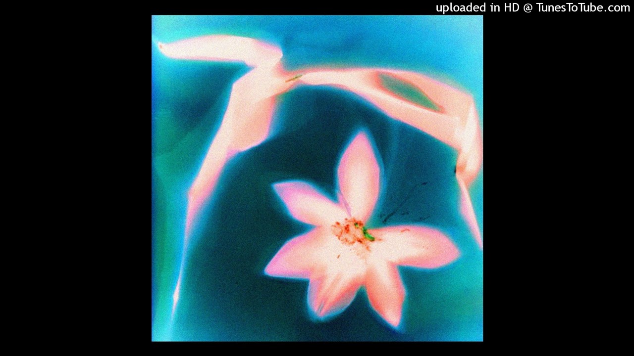 Pierre Bourne spectrum10 163 -Ebm