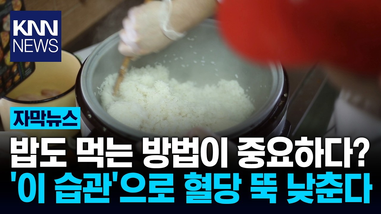밥솥 보온 기능, 혈당 망친다? 꼭 알아야 할 '식은 밥'의 비밀 / KNN