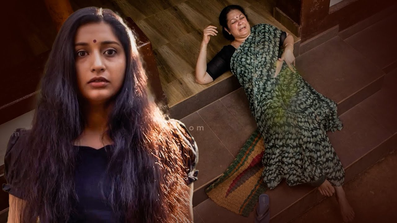 ഫ്ലാഷ്ബാക്ക് തുടക്കത്തിൽ തന്നെ കാണിച്ചത് നന്നായി | Meera Jasmine | Paalum Pazhavum | Aswin Jose |