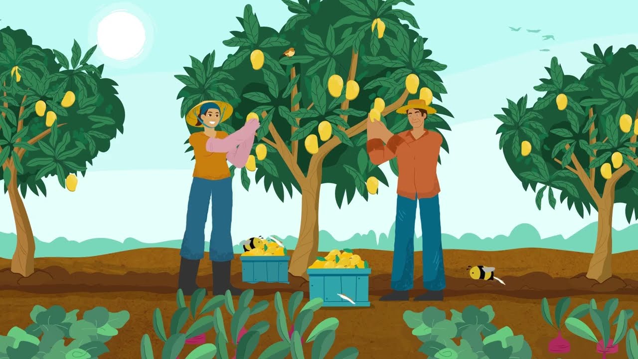 Naturland Academy - C&aacute;c hệ thống bảo h&agrave;nh kh&aacute;c nhau