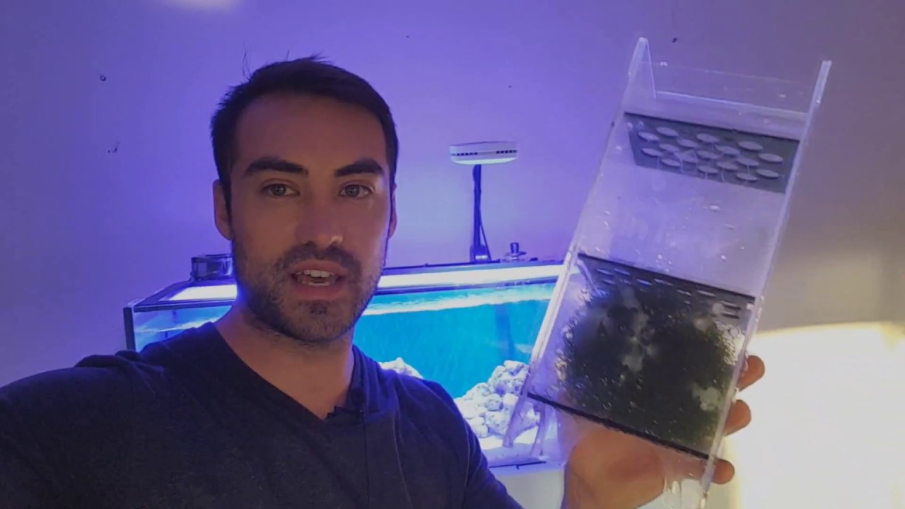 Refugium For Innovative Marine Reef Tanks (MOD) Aqua Gadgets