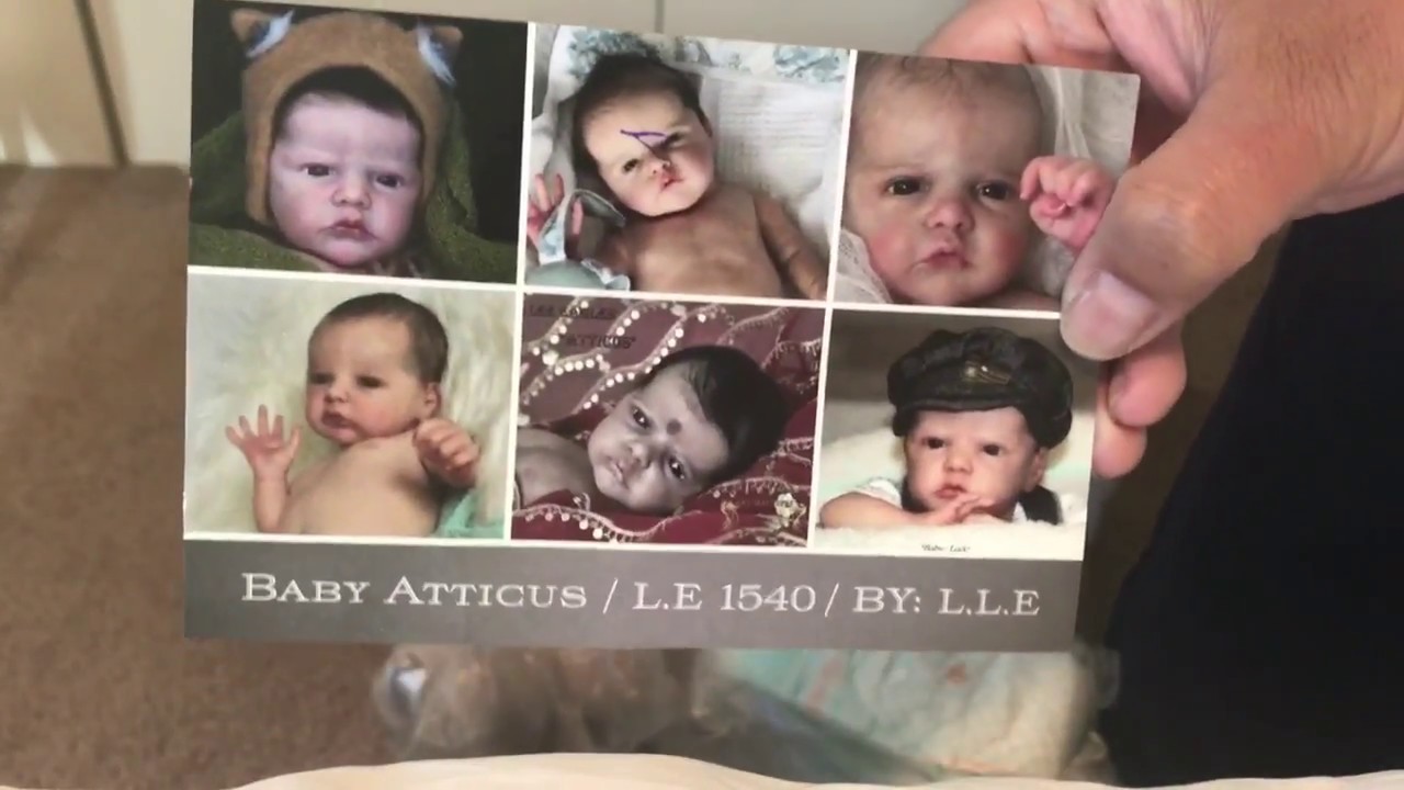 Reborn Baby Box Opening! It's Not Who You Think... Surprise!
