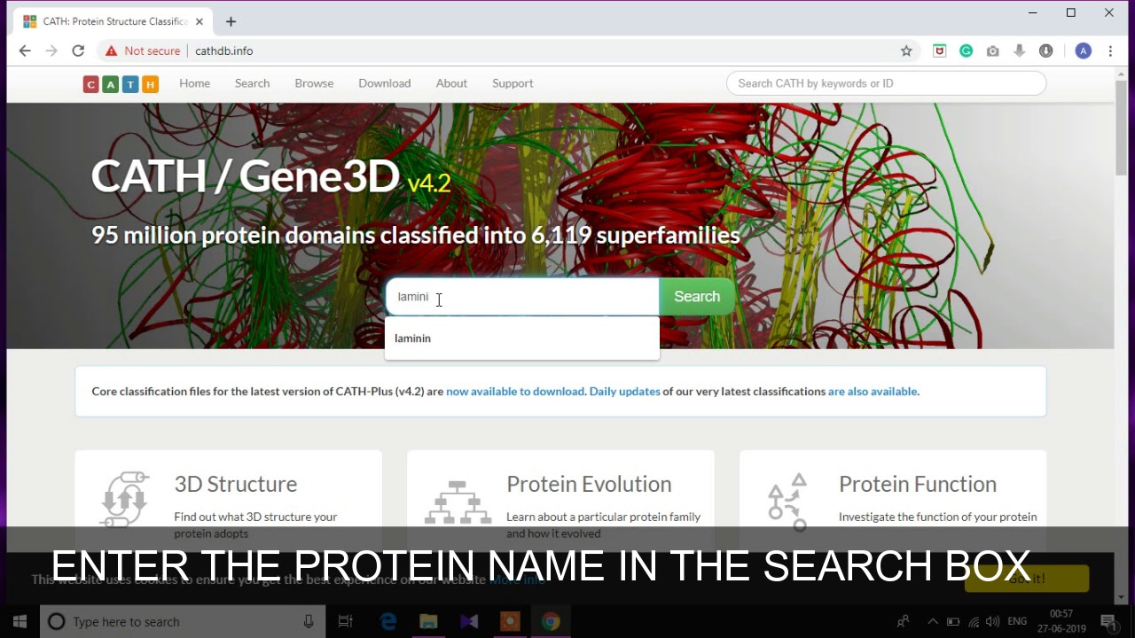 MOTIF FINDING, CATH, SCOP