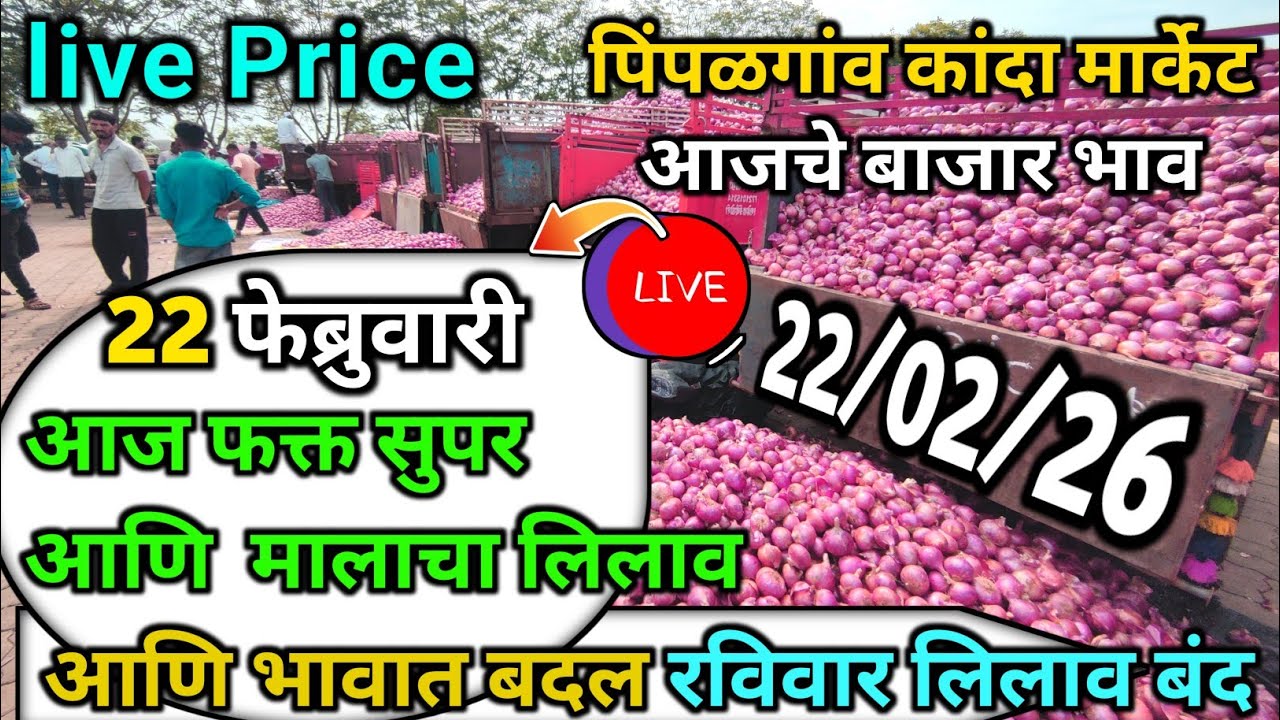 Pimpalgaon Onion Market Price Today:Latest Rates And Insights 22 February 2025